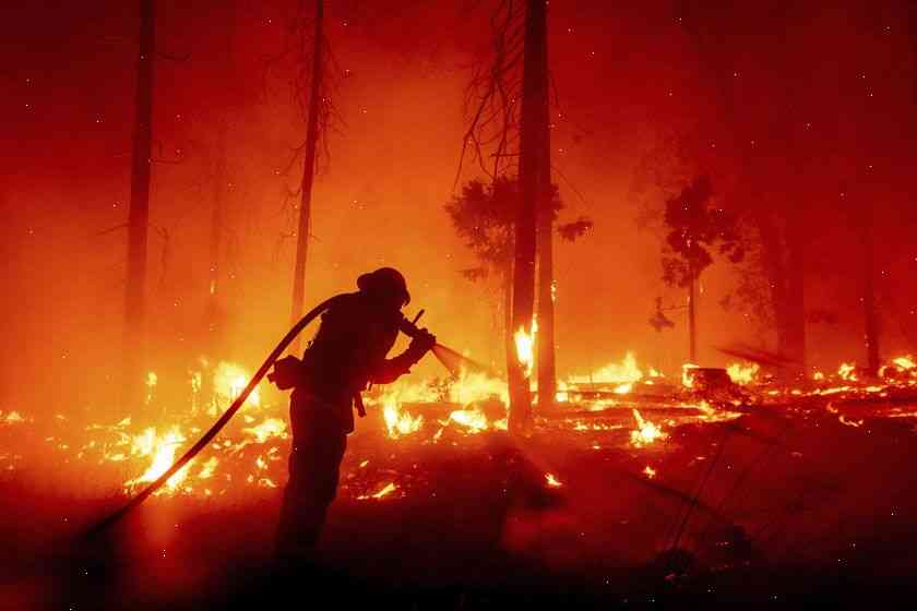 The Wildfires Are Not Climate Change
